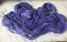 Load image into Gallery viewer, Winter Violet Worsted Roberta Rae Michigan